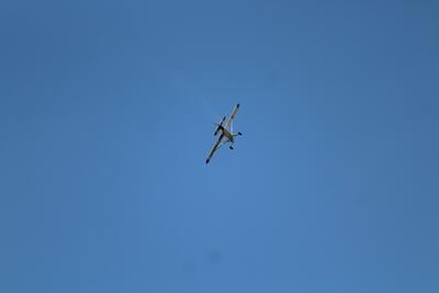 IMG 1510